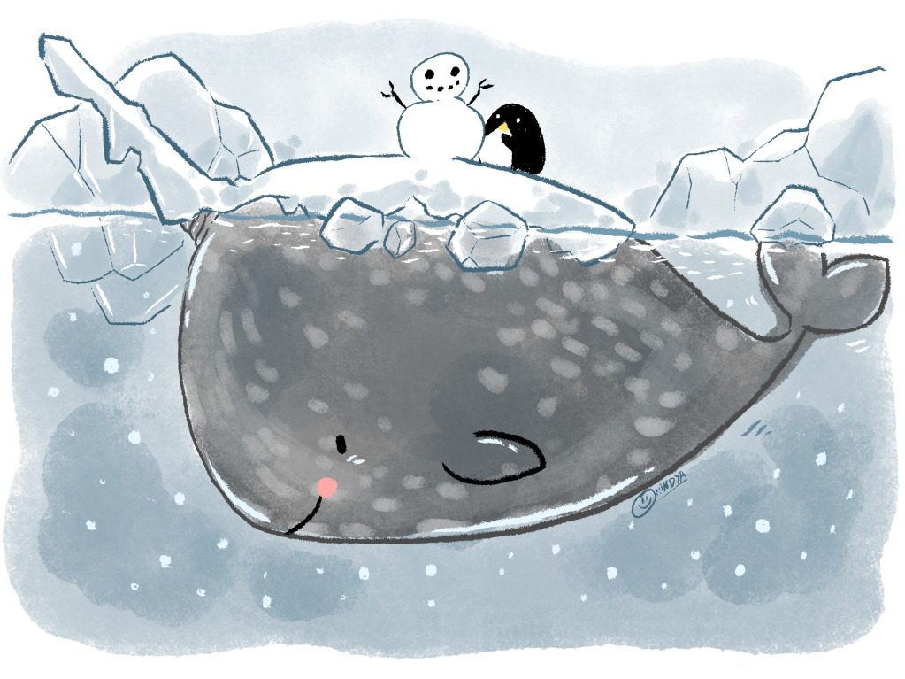 Drawing practice: Narwhal